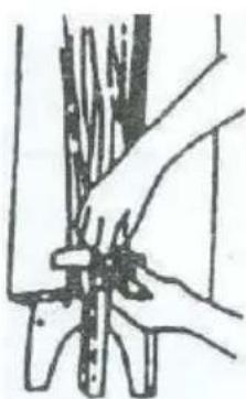 Topmark Charlie - PARAPLEGAR - 6