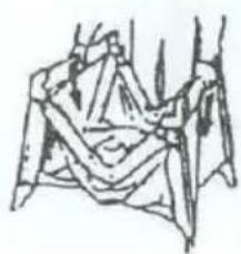 Topmark Charlie - ZUSAMMENKLAPPEN - 3