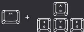 COOLER MASTER MasterKeys MK750 - Package Contents - 10