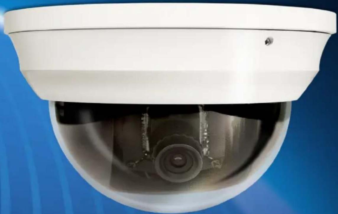 SWANN SWPRO961CAM - Cámara domo de seguidad con gran angulo - 1