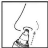 PANASONIC ERGN30 - Trimming your nose hair and ear hair - 2