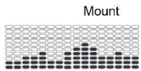 Nautilus R626 - Programmes Profil - 6