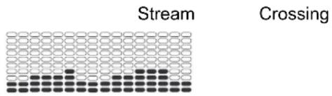 Nautilus R626 - Programmes Profil - 5