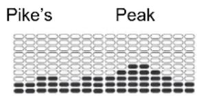 Nautilus R626 - Programmes Profil - 3