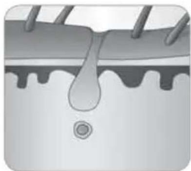 BABYLISS Homelight G940E - In che modo la luce riesce a eliminare il peso? - 7