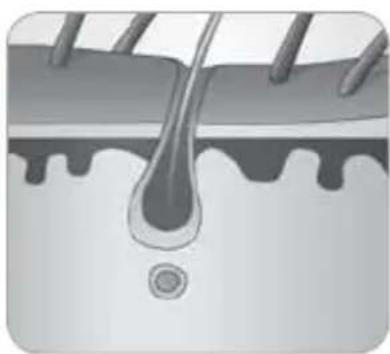 BABYLISS Homelight G940E - In che modo la luce riesce a eliminare il peso? - 6