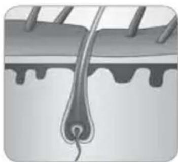 BABYLISS Homelight G940E - How does the light eliminate hair? - 5