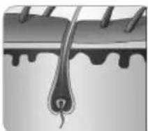 BEURER SalonPro System IPL 9000 - How does the light remove the hair? - 1