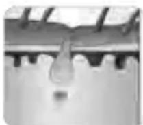 BEURER SatinSkin Pro IPL 7000 - Co7.9102 1sc.91%9c1c09d19c-. sc1,a9d. 19p. 919s . p1%azlo0.96asa,a9s a9c.? - 3