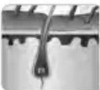 BEURER SatinSkin Pro IPL 7000 - 5ow9do.s9,h.91/h,9-.7ov.9,h.9ha1-? - 1