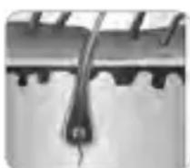 BEURER SatinSkin Pro IPL 7000 - Co7.9102 1sc.91%9c1c09d19c-. sc1,a9d. 19p. 919s . p1%azlo0.96asa,a9s a9c.? - 1