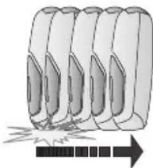 BEURER SatinSkin Pro IPL 7000 - Med9d9JdFJH ,A5H5AoEJ1J“F6E5AoEJdFJGH) 9J59EDAE69”: - 1