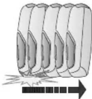 BEURER SatinSkin Pro IPL 7000 - BF4HEdF,AE13. FD49dFJ1J'F6E5DAFJ-99GJfAD34FG4H,AE1': - 1