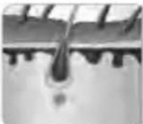 BEURER SatinSkin Pro IPL 7000 - Q.9102 . 0c. 98.9cycd. 9c-olssaOc. 9d. s9polss9a-, -19s -97'ep11a,1o09aa97 7 tè-. ? - 2