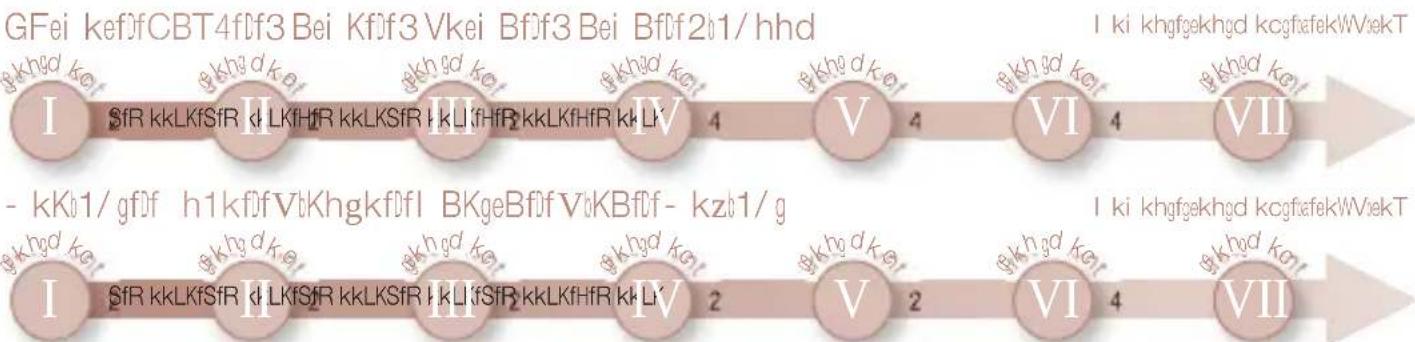 BEURER SatinSkin Pro IPL 7000 - 110JTF54EA354FJ1F1F-FE3 - 5