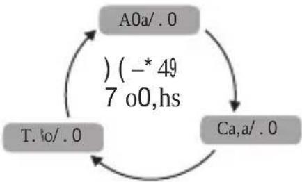 BEURER SatinSkin Pro IPL 7000 - 5ow9do.s9,h.91/h,9-.7ov.9,h.9ha1-? - 3