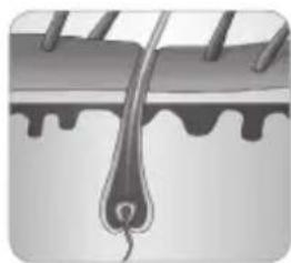 BABYLISS Homelight G932E - How does the light eliminate hair? - 5