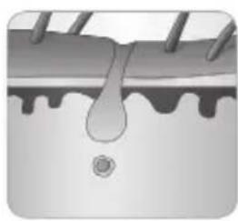 BABYLISS Homelight G932E - Hoe kanlichteenhaartjeverwijlderen? - 6