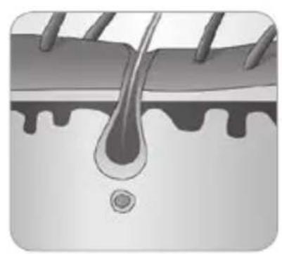 BABYLISS Homelight G930E - In che modo la luce riesce a eliminare il peso? - 6
