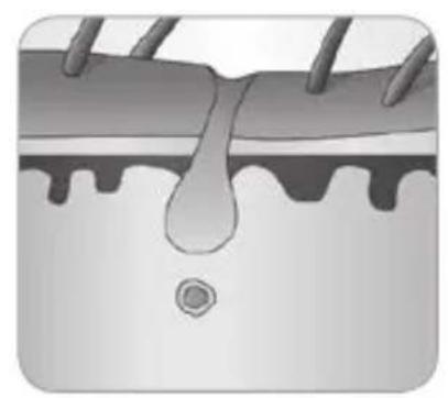 BABYLISS Homelight G930E - In che modo la luce riesce a eliminare il peso? - 7