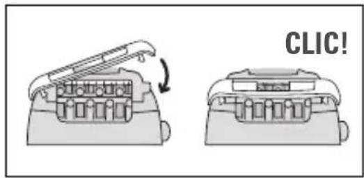 CALOR EP5244C0 - 8-Epilation empfindlicher Zonen - 1