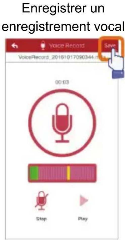 Ednet 31519 - Enregistreur audio - 2