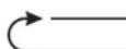 AURIOL IAN 52691 - Fonctions - 6