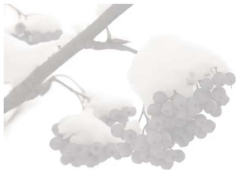 Carel Easy - CAREL - 1