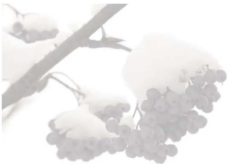 Carel Easy Compact - CAREL - 1