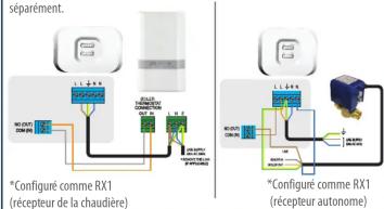 Salus VS20WRF - Installation - Receptor RX10RF (en option) - 1