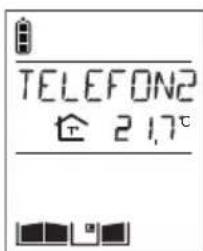 HAGER MHF06X - Telefonillo que recibe la llamada - 1