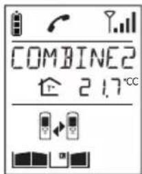 HAGER MHF04X - Combiné appelant - 5