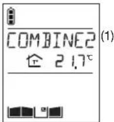HAGER MHF04X - Combiné appelant - 2