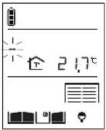 HAGER MHF04X - Modifying the display options - 2