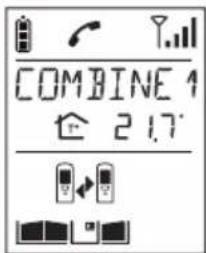 HAGER MHF04X - Combiné appelé - 3