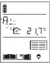 HAGER MHF04X - Modifying display options - 7