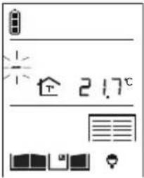 HAGER MHF04X - Modifying display options - 4