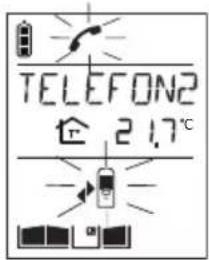 HAGER MHF04X - Telefonillo que realiza la llamada - 5