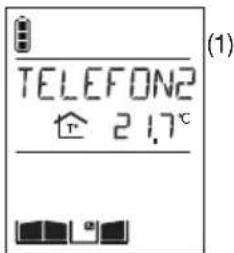 HAGER MHF05X - Telefonillo que realiza la llamada - 3