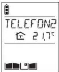 HAGER MHF02X - Telefonillo que recibe la llamada - 1