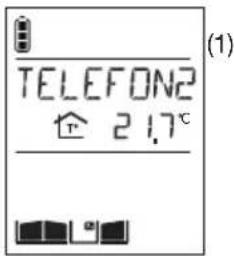 HAGER MHF02X - Telefonillo que realiza la llamada - 2