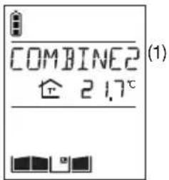 HAGER MHF02X - Combiné appelant - 2