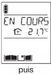 HAGER LCA01F - Retour en programmation usine du combiné et du coffret technique - 2