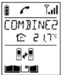 DAITEM SC905AF - Combé appelant - 5