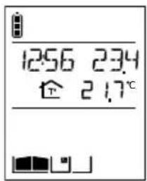 DAITEM SC903AF - En communication - 3
