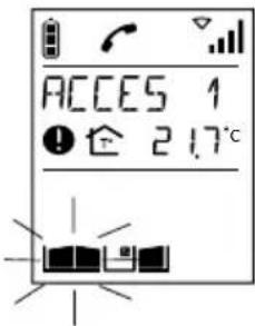 DAITEM SC900AF - Affiche Signification Remede - 4