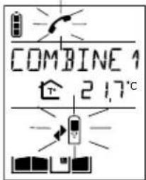 DAITEM SC201AF - Combiné appelé - 1