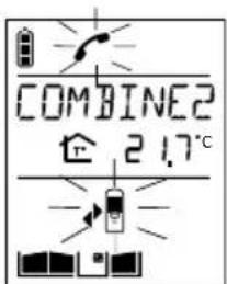 DAITEM SC101AF - Combé appelant - 4