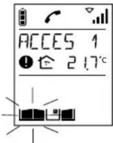 DAITEM MHF05X - Affiche signification remède - 4