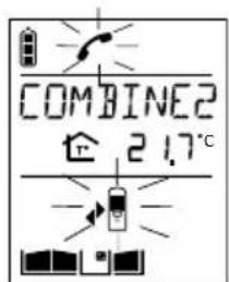 DAITEM MHF02X - Combé appelant - 4
